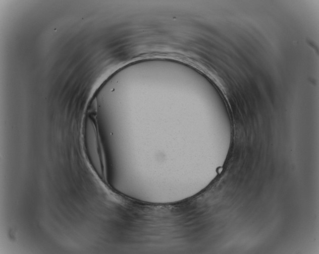 X0000091471533200709131743