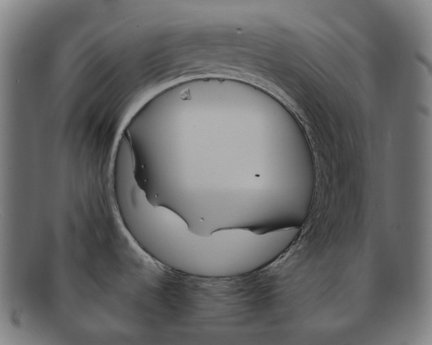 X0000091471536200709131743