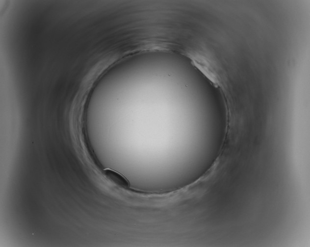 X0000091470001200709241314