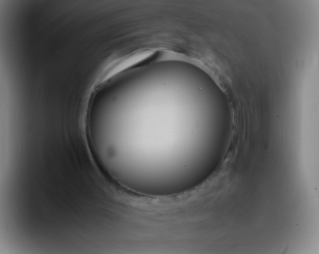 X0000091470003200709241314