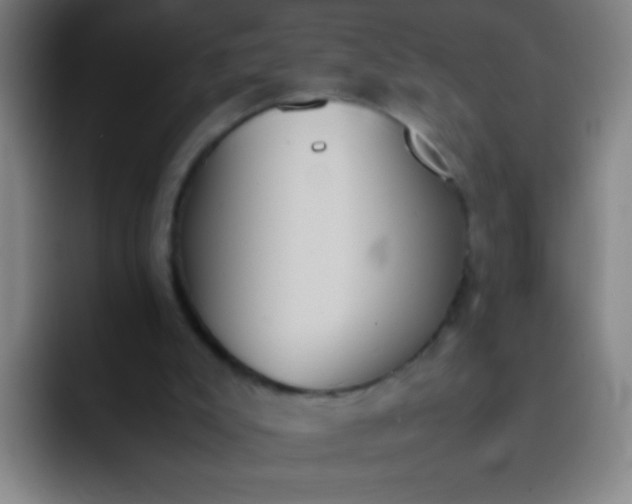 X0000091470007200709241314