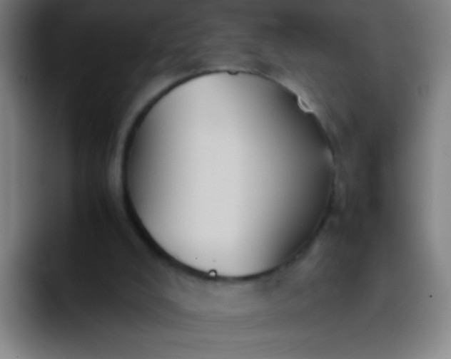 X0000091470008200709241314