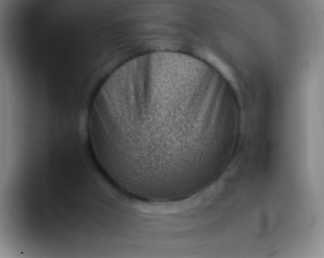 X0000091470009200709241314