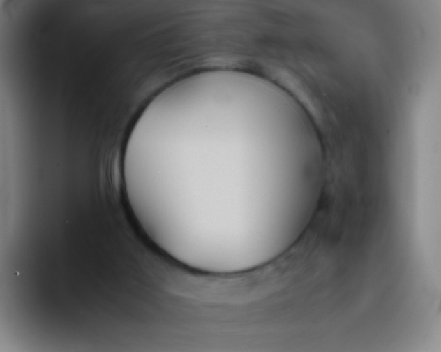 X0000091470011200709241314