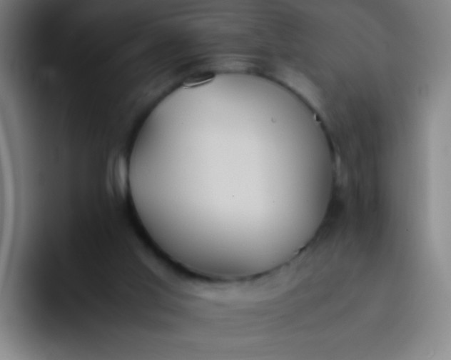 X0000091470013200709241314