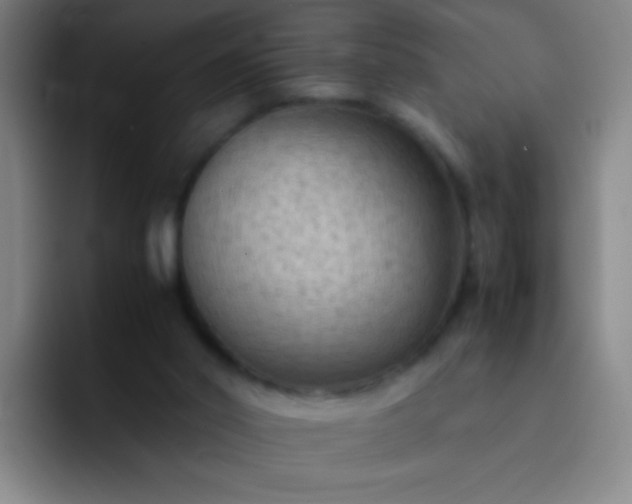 X0000091470014200709241314