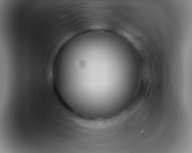 X0000091470015200709241314