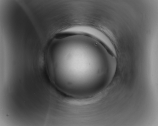 X0000091470017200709241313