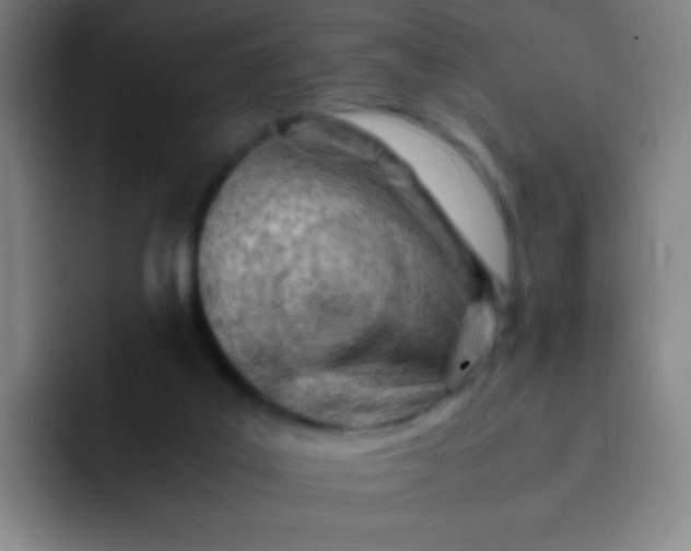 X0000091470019200709241313