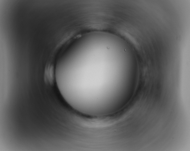 X0000091470020200709241313