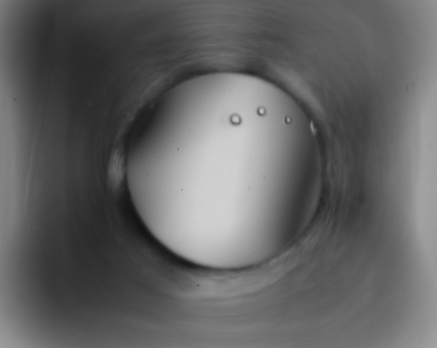 X0000091470021200709241313