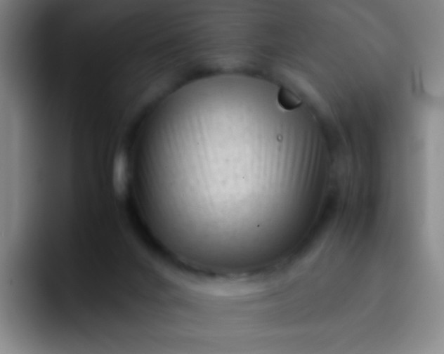 X0000091470024200709241313