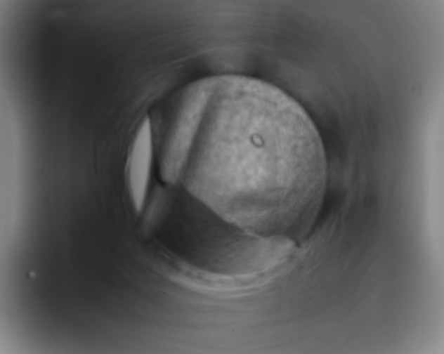 X0000091470027200709241313