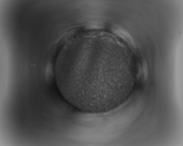 X0000091470029200709241313