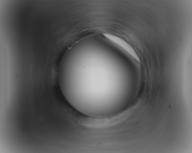 X0000091470037200709241313