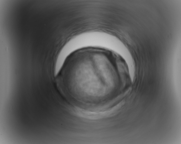 X0000091470039200709241313