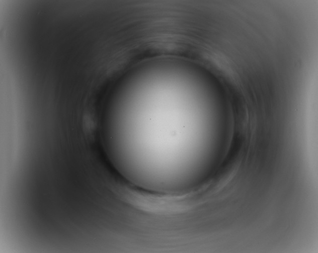 X0000091470040200709241313