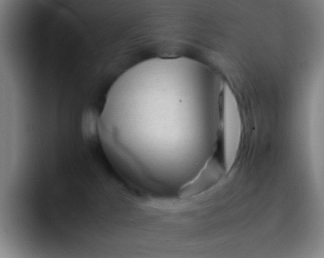 X0000091470041200709241313