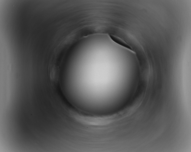 X0000091470044200709241313