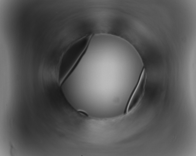 X0000091470045200709241313