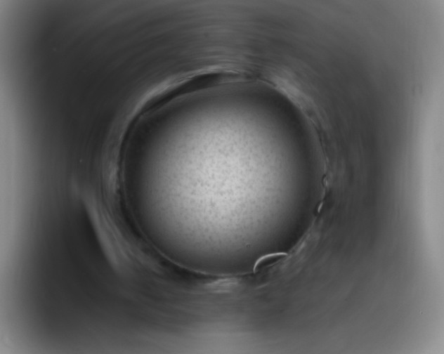 X0000091470050200709241313