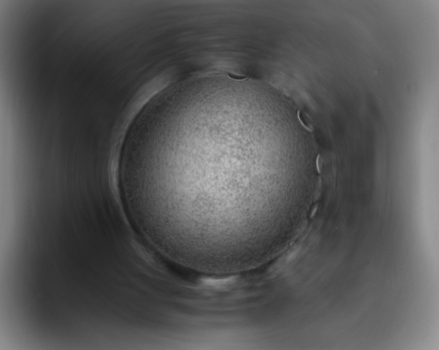 X0000091470051200709241313