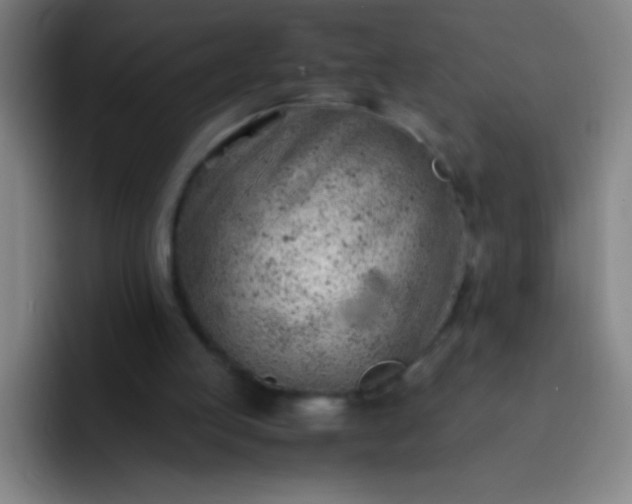 X0000091470053200709241313