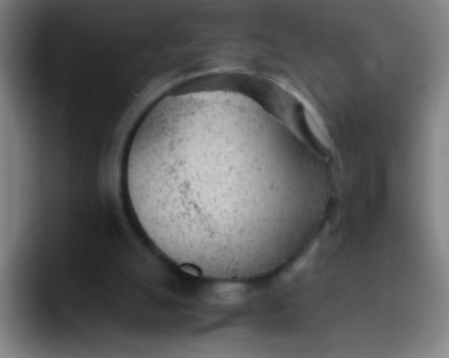 X0000091470055200709241313