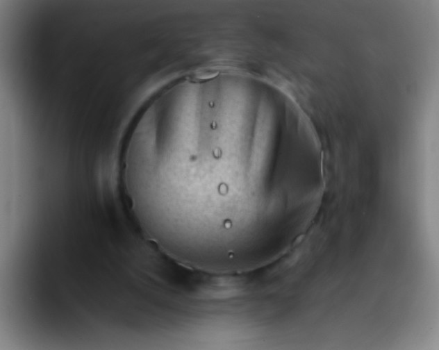 X0000091470056200709241313