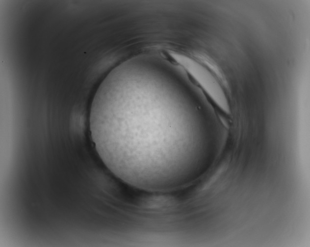 X0000091470063200709241313