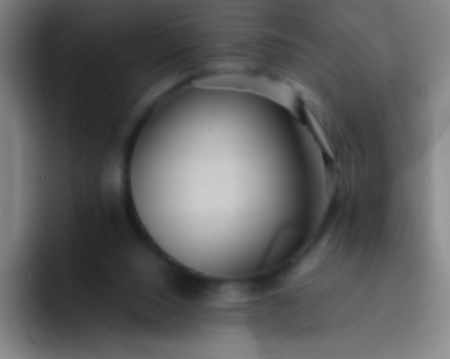 X0000091470064200709241313