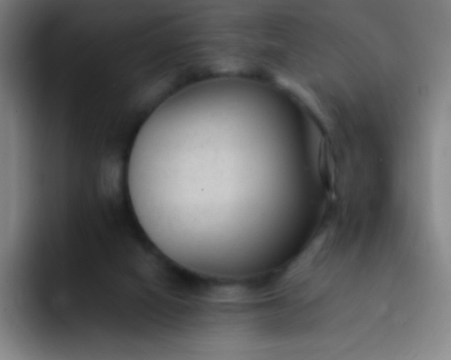 X0000091470066200709241313