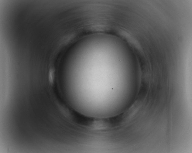 X0000091470070200709241313