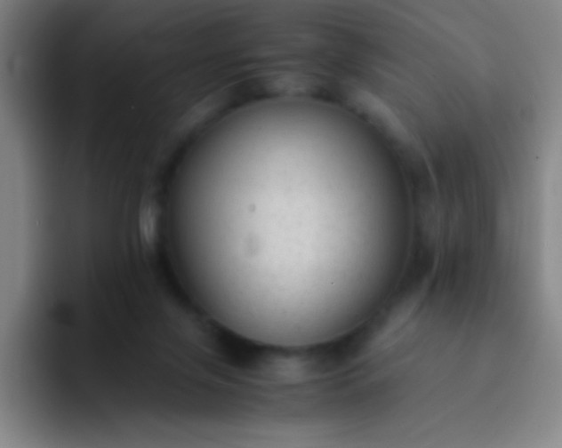 X0000091470071200709241313