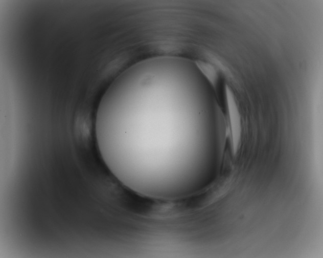 X0000091470072200709241313