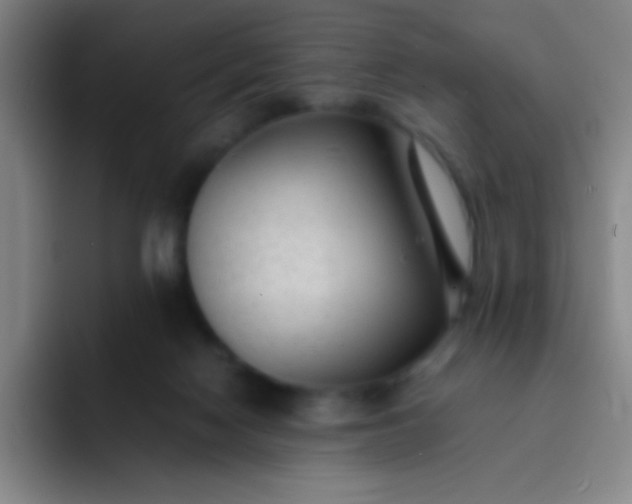 X0000091470074200709241313