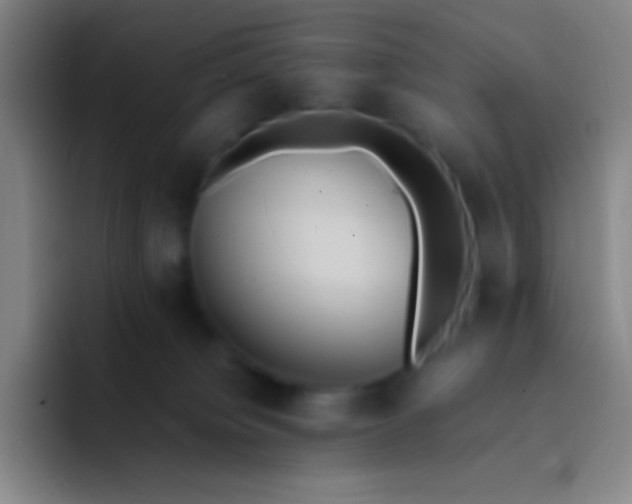 X0000091470084200709241313