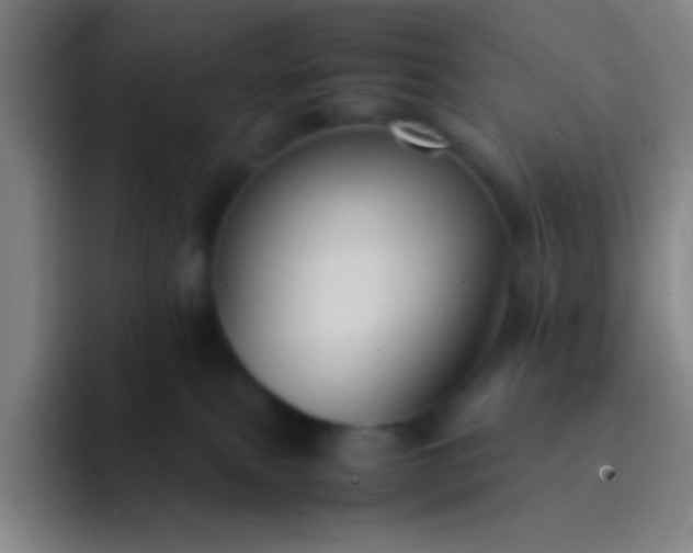 X0000091470087200709241313