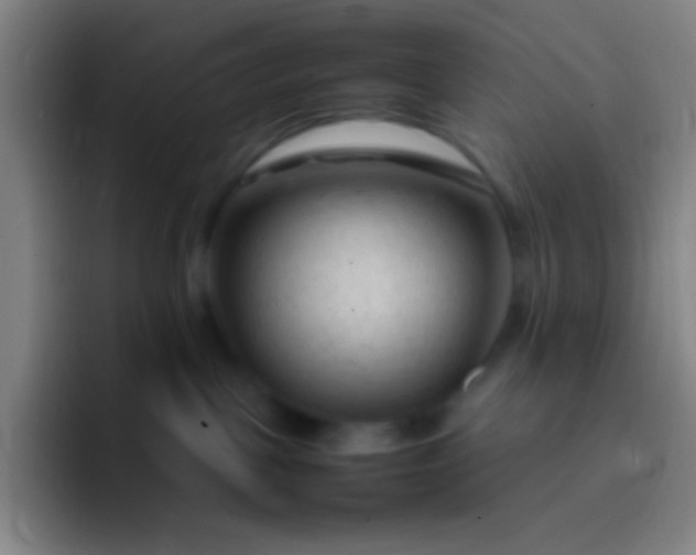 X0000091470093200709241313