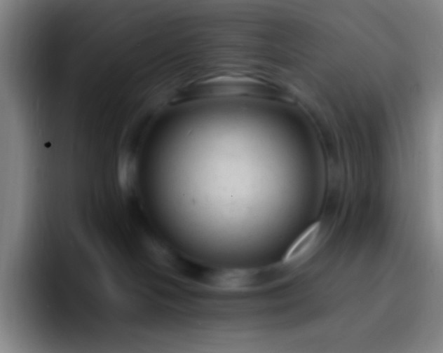 X0000091470094200709241313