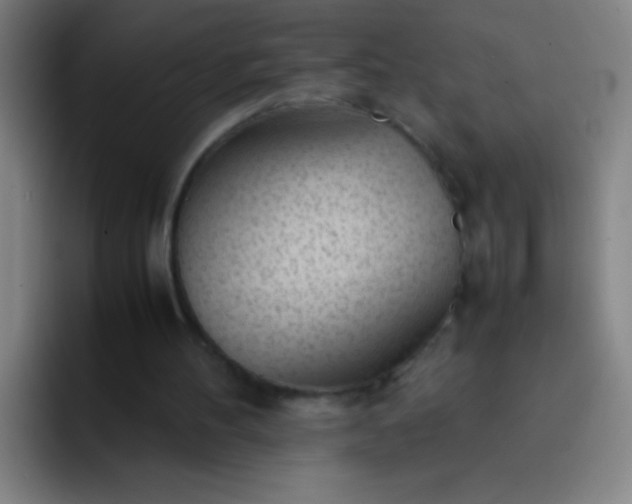 X0000091470100200709241313