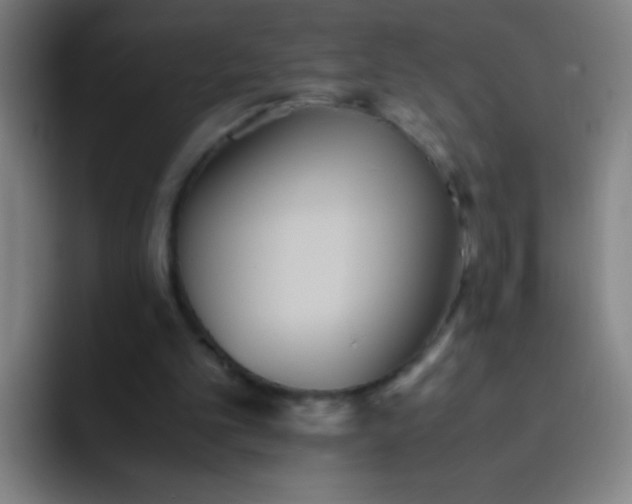 X0000091470101200709241313