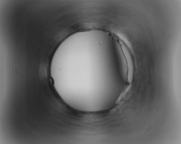 X0000091470105200709241312