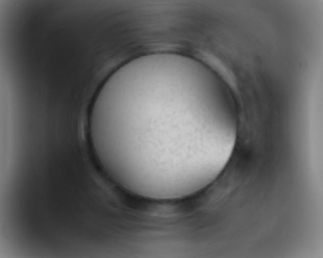 X0000091470107200709241312