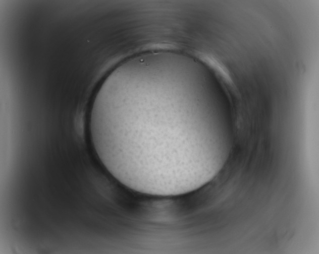 X0000091470108200709241312