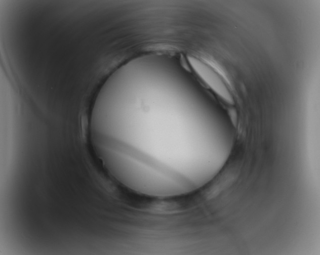 X0000091470109200709241312