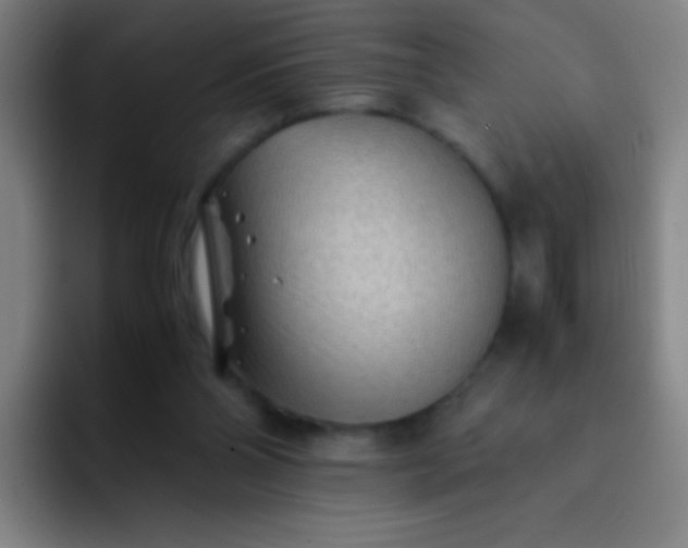 X0000091470110200709241312