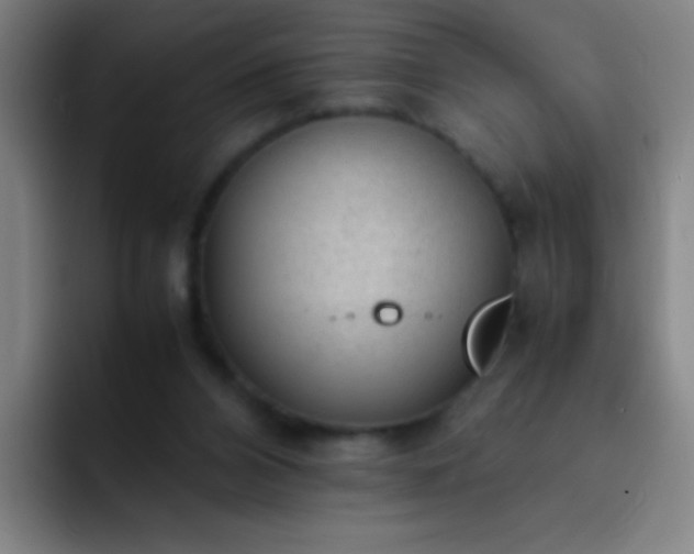 X0000091470112200709241312