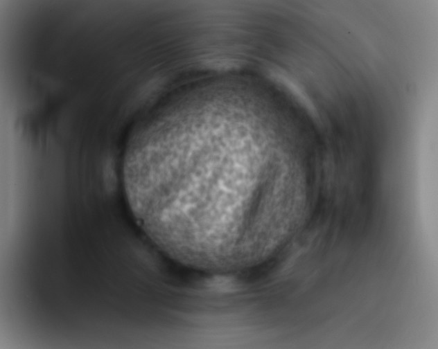 X0000091470114200709241312