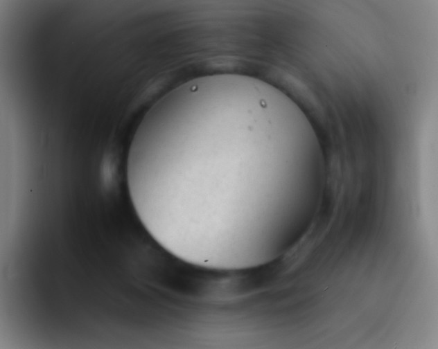 X0000091470116200709241312